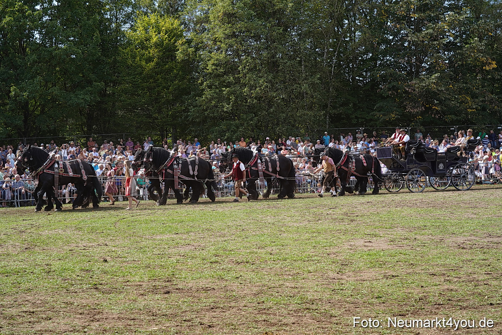 Pferde und Fohlenschau 2022 0298 